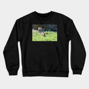 Baby fox Crewneck Sweatshirt